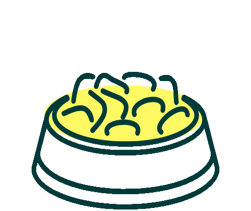 bd pfc load icon