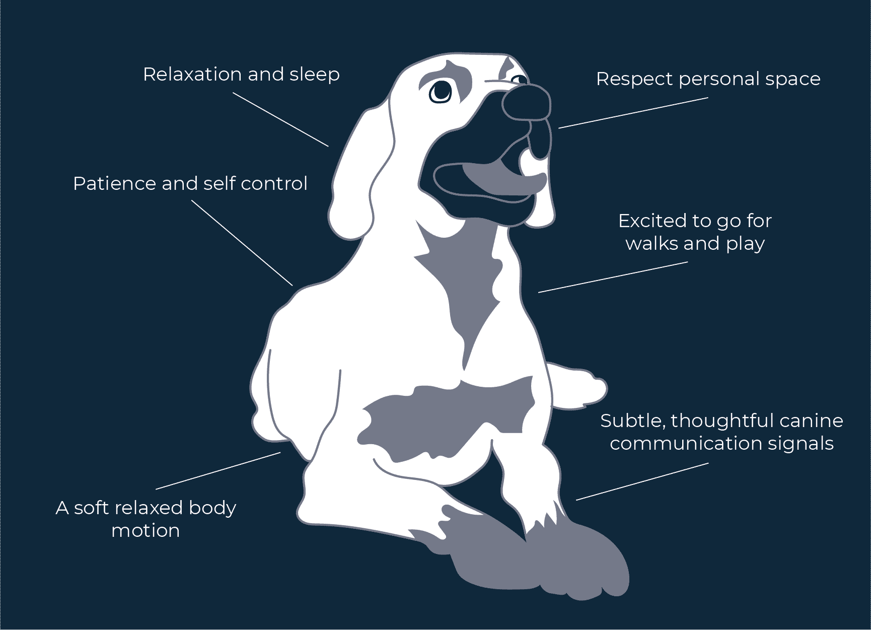 A Simple Guide to Understanding Dog Behaviour Bella & Duke