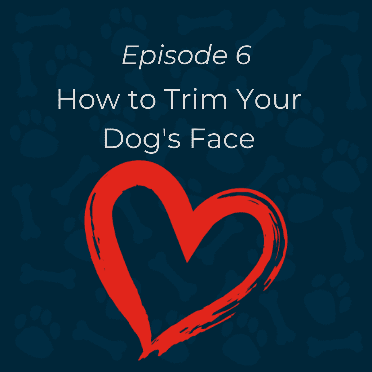 How to Trim a Dog’s Face at Home Expert Tutorial Bella & Duke