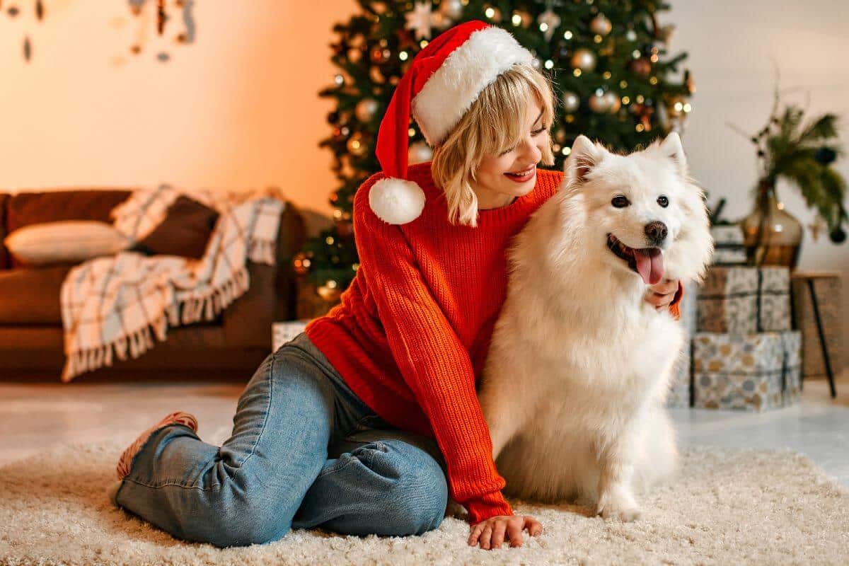 10 Tips To Make Your Dogs Christmas Special Bella & Duke